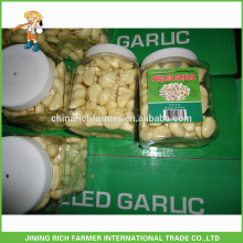 Export America Fresh Peeled Garlic